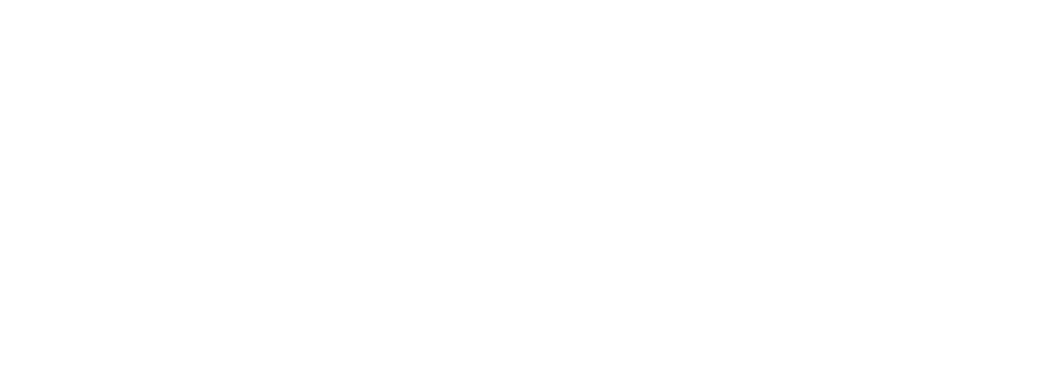 ZAP AI